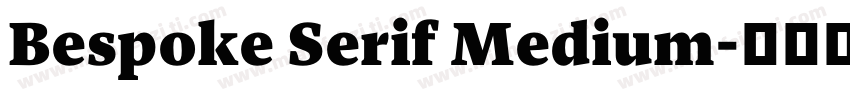 Bespoke Serif Medium字体转换